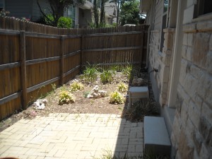 Before zen garden, austin, tx xeriscape