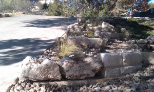 landscape design Austin landscaping xeriscape