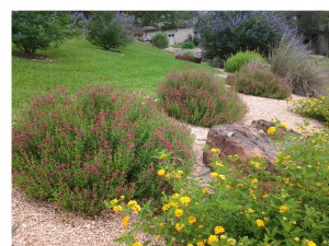 landscape design landscaping custom stone work austin 101