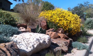 landscape design landscaping custom stone work austin 8