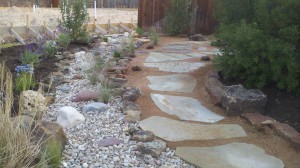 landscape design landscaping dry creek beds Austin 1