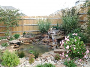 landscape design water garden austin tx 1