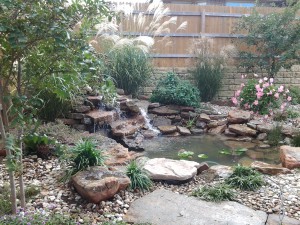 landscape design water garden austin tx 2