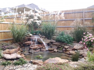 landscape design water garden austin tx 3